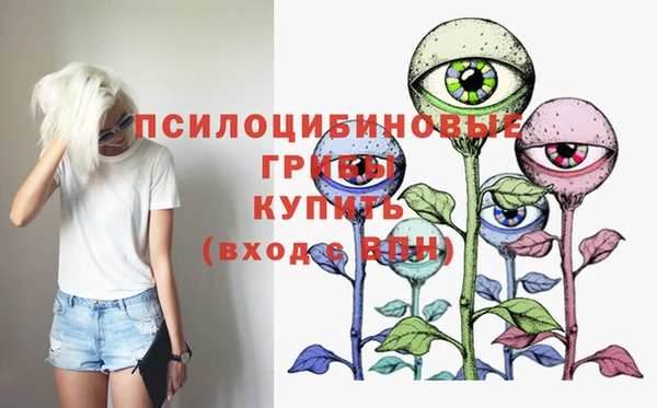 СК Волоколамск