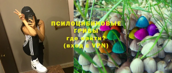 СК Волоколамск