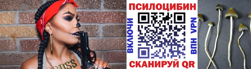 Галлюциногенные грибы Magic Shrooms  что такое наркотик  KRAKEN ONION  Отрадное 